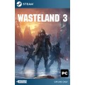 Wasteland 3 Steam [Singleplayer Only]